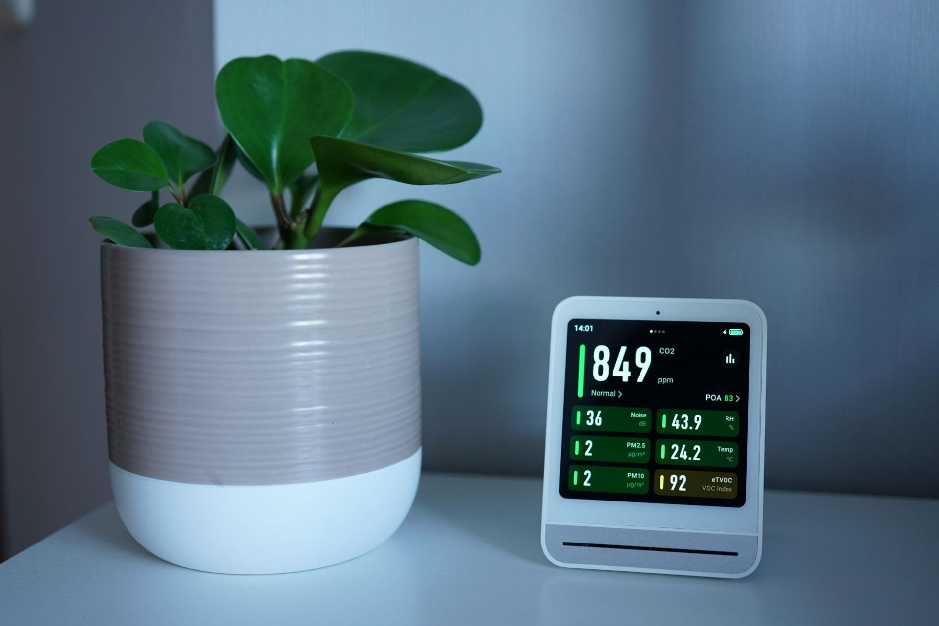 Featured image for The Ideal Indoor Air Quality for a Healthy & Safe Home